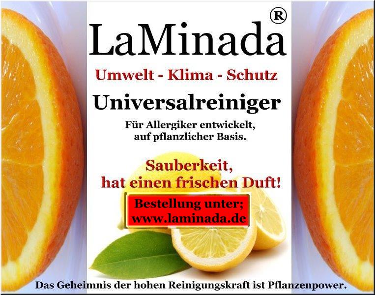 Schlüsselfertiges Eco-Cleaning-Konzept „LAMINADA“ (Domain laminada.de, Marke & 2 Rezepturen für pflanzliche Reiniger)