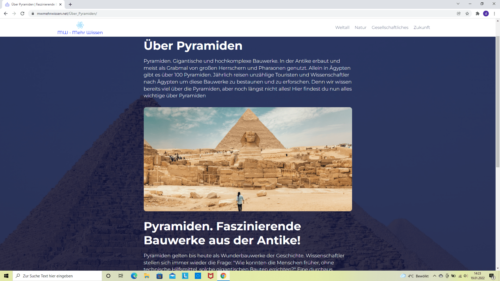 Projektbild