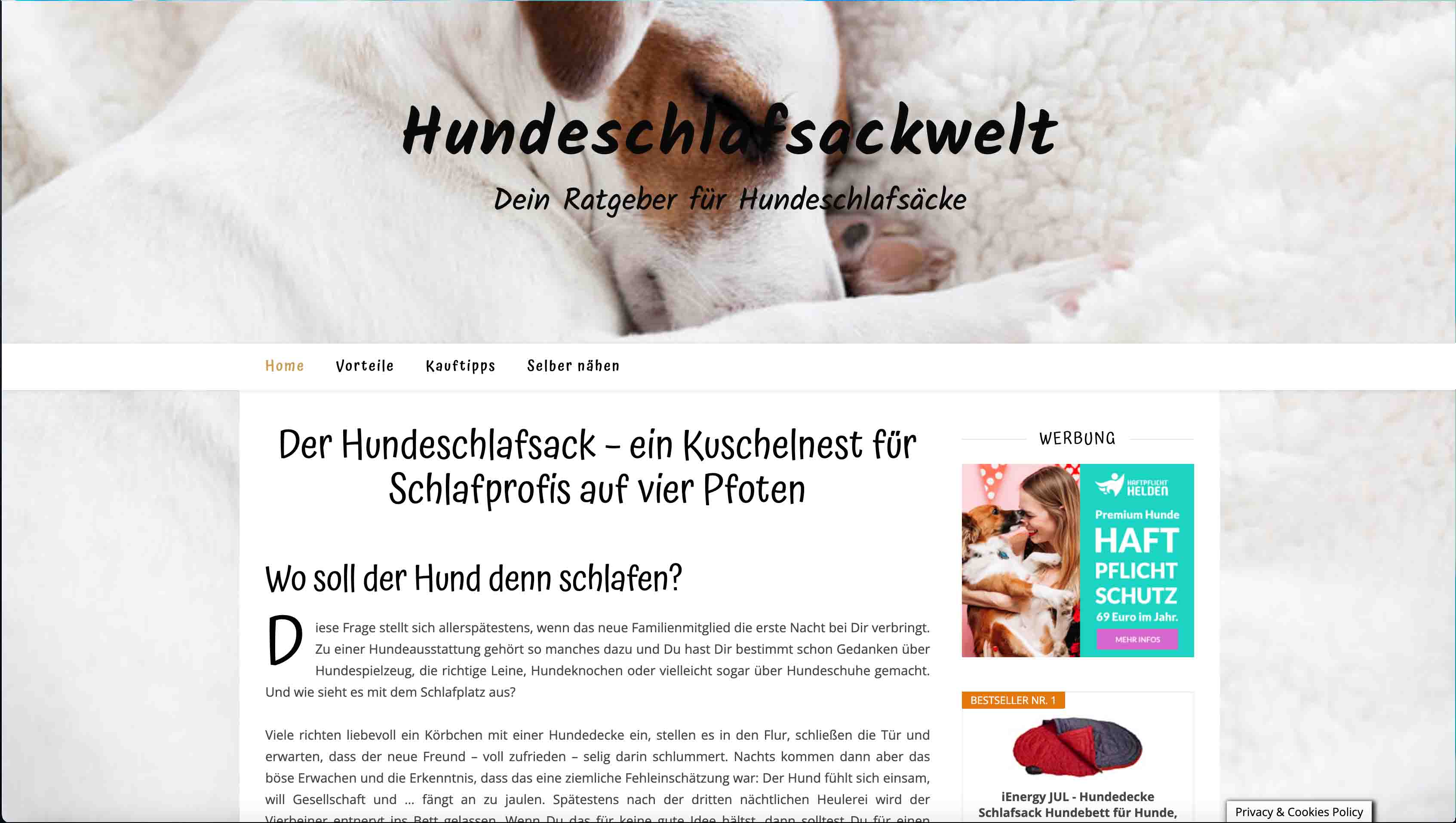 Projektbild