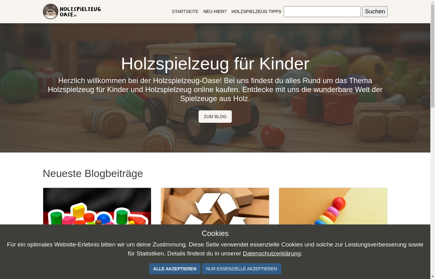 Holzspielzeug-Blog mit großem Wachstumspotenzial zu verkaufen